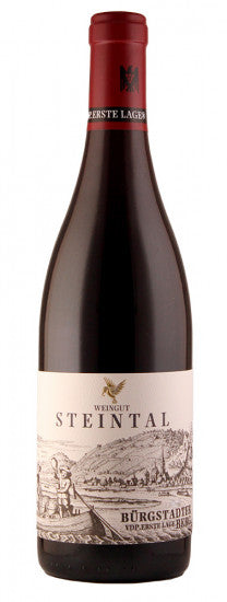 Steintal Franken Burgstadt Berg Spatburgunder 2020 x 1