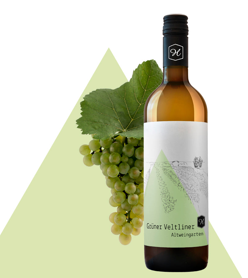 Eschenhof Holzer Wagram Ried Altweingarten Gruner Veltliner 2022 x 12