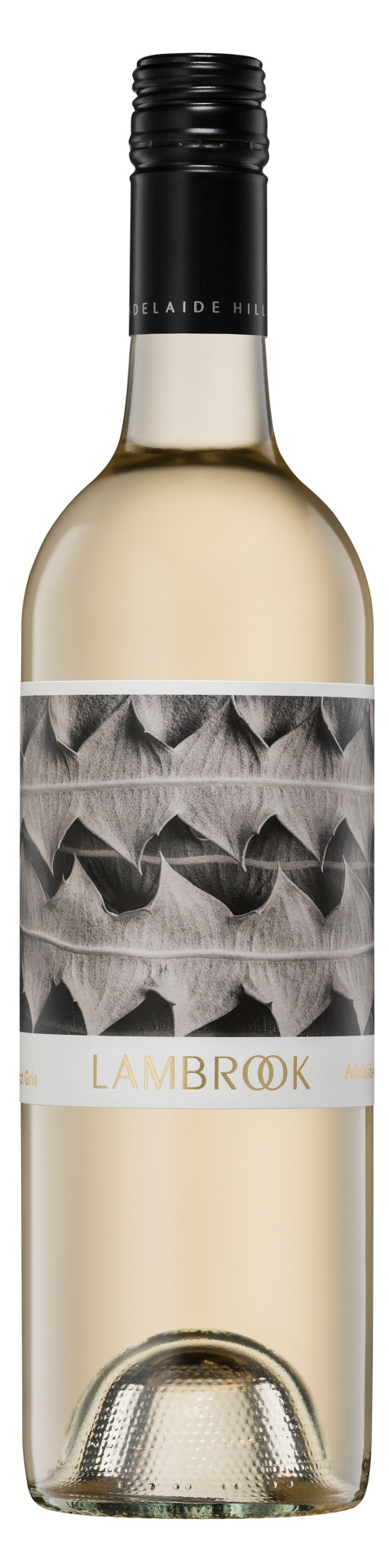 Lambrook Seed Pinot Gris 2024 x 12