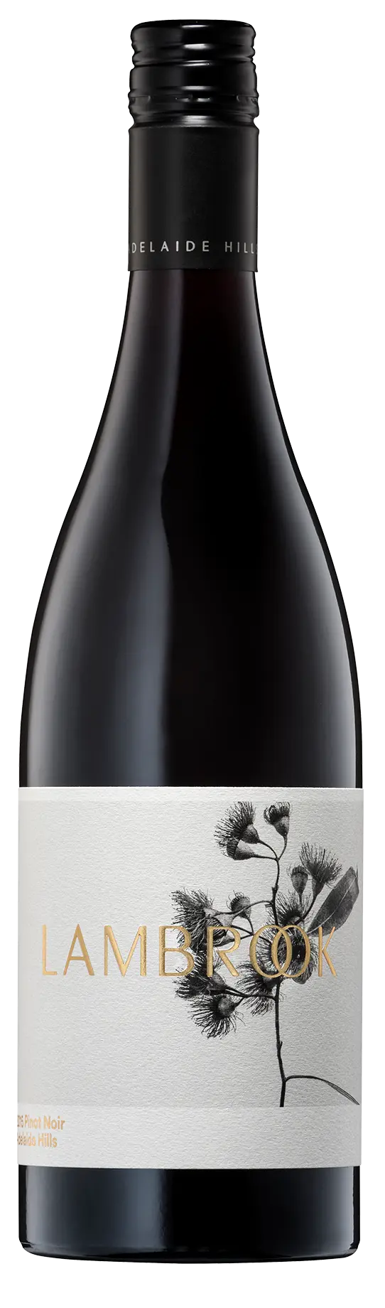 Lambrook Plant Pinot Noir 2024 x 6 Vintage House