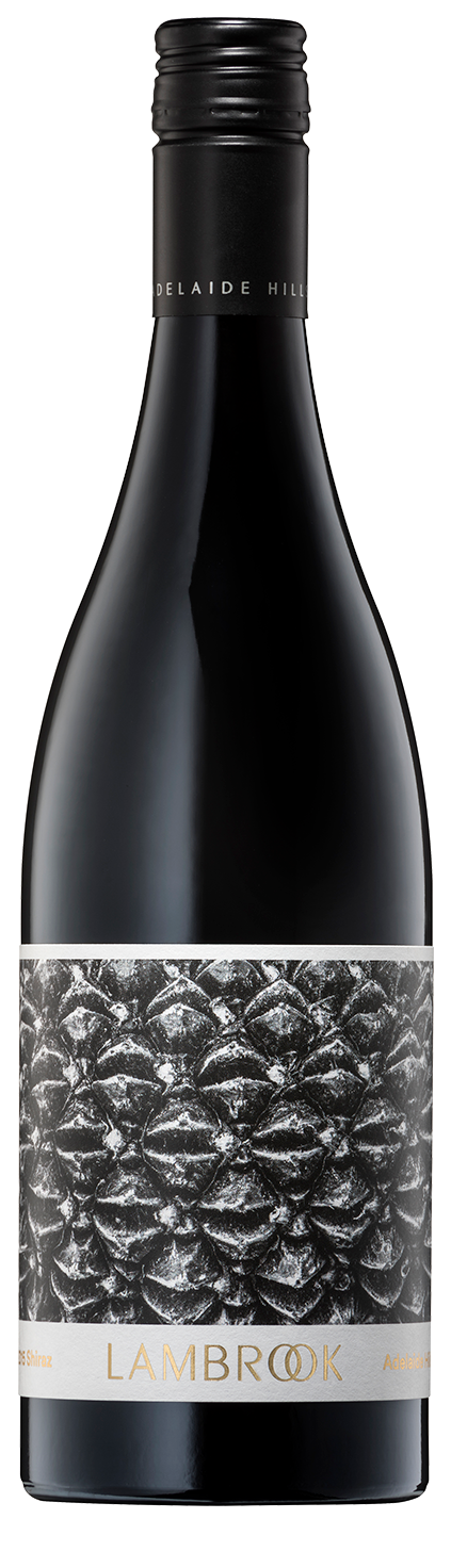 Lambrook Seed Shiraz 2023 x 12