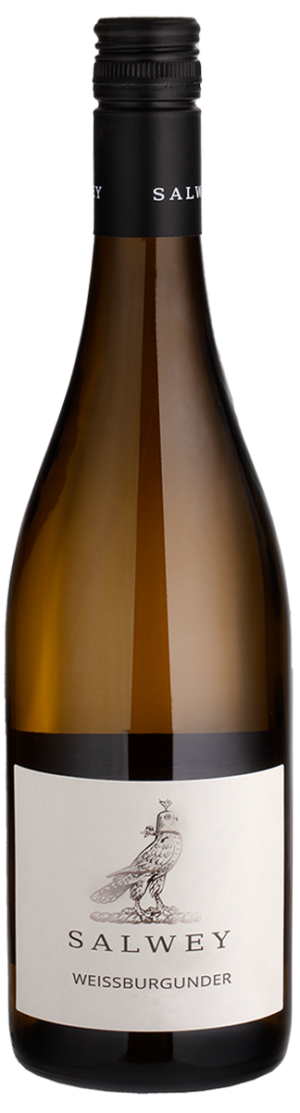 Salwey Baden Oberrotweil Weissbuunder 2020 x 6