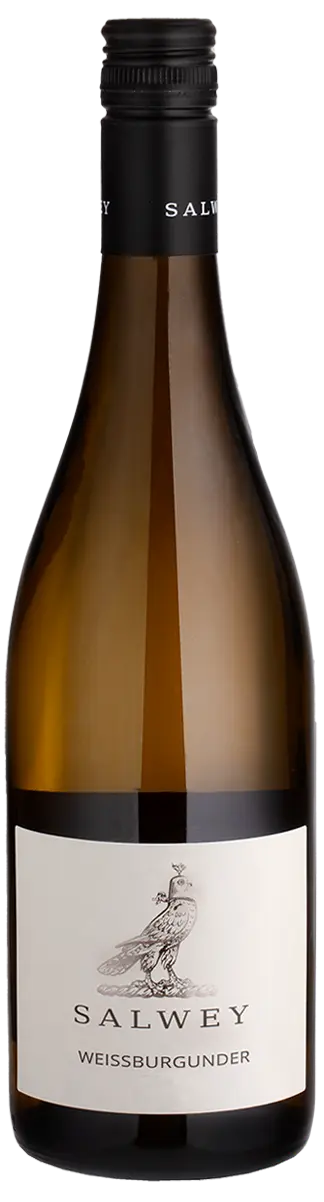Salwey Baden Eichberg Weissburgunder Grosse Gewachs 2019 x 2 Small Story Merchants