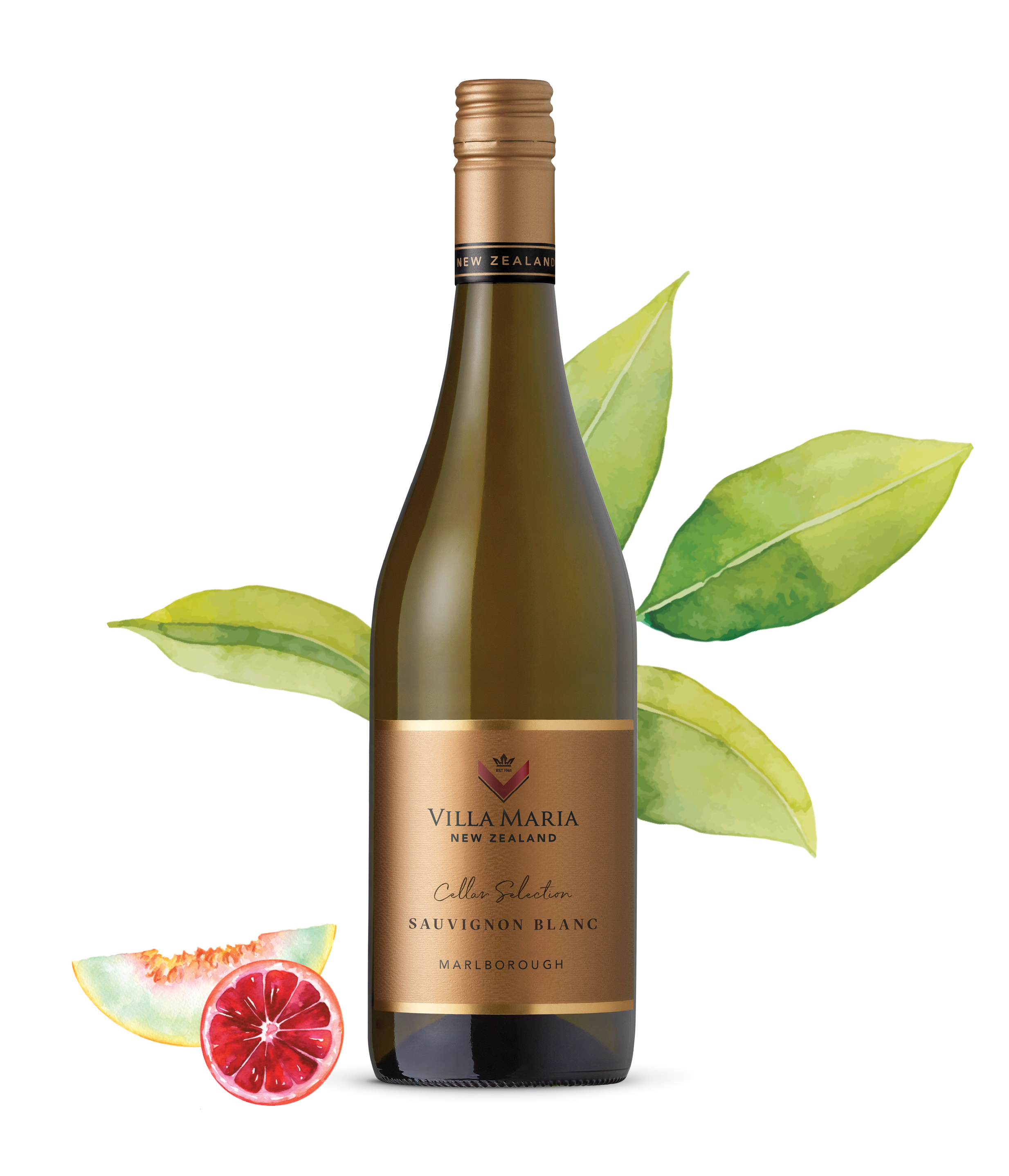 Villa Maria Cellar Selection Sauvignon Blanc 2023 x 12