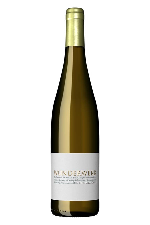 Dreissigacker Wunderwerk Riesling 2019 x 1