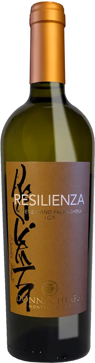 DONNACHIARA CAMPANIA, ITALY Benventano Falanghina Resilienza IGT Falanghina 2022 x 6
