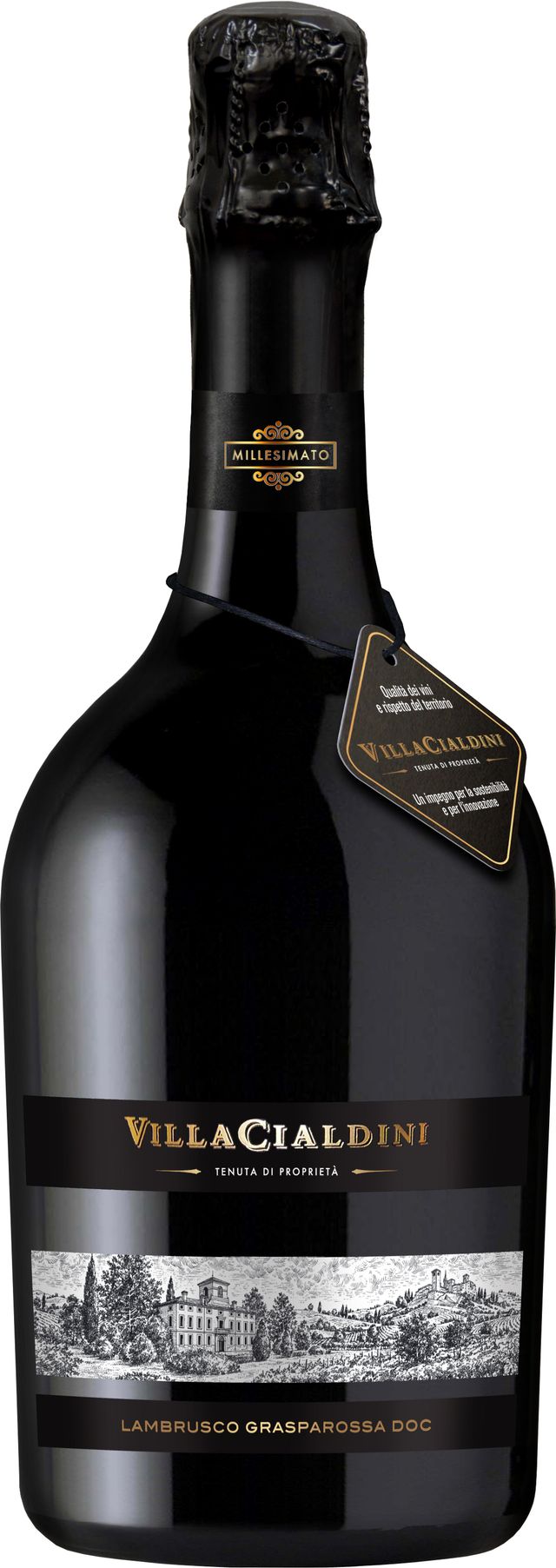 Villa Cialdini Lambrusco Grasparossa di Castelvetro DOC 2023 x 6