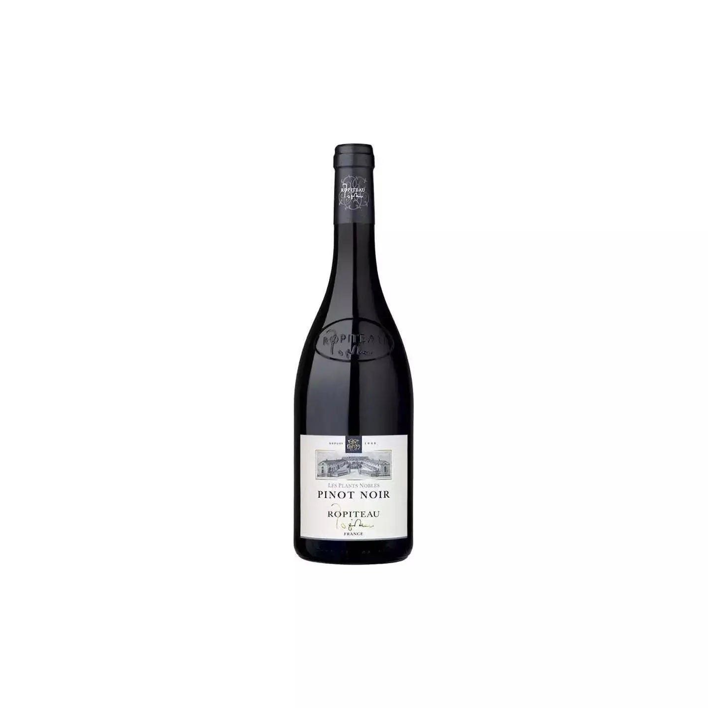 Ropiteau Feres Les Plants Nobles Pinot Noir 2023 x 12 The Wine Company