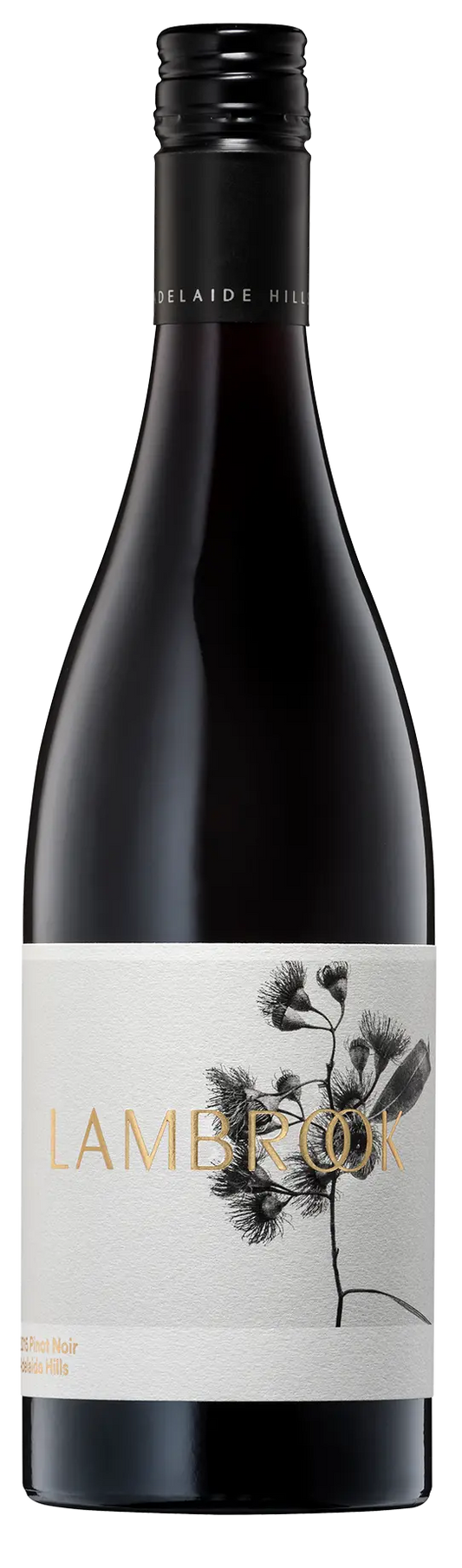 Lambrook Plant Pinot Noir 2024 x 6 Vintage House