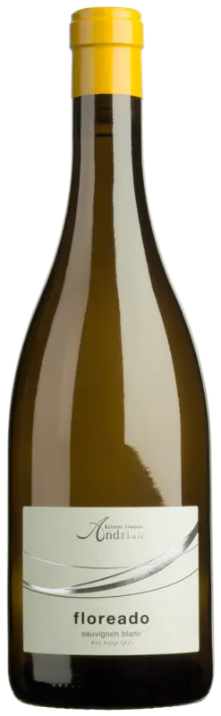 Kelleri-Cantina Andrian Floreado Sauvignon Blanc Alto Adige DOC 2024 x 6 Alepat Taylor